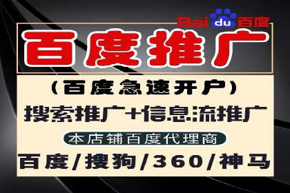 SEM代运营案例：品牌影响力提升